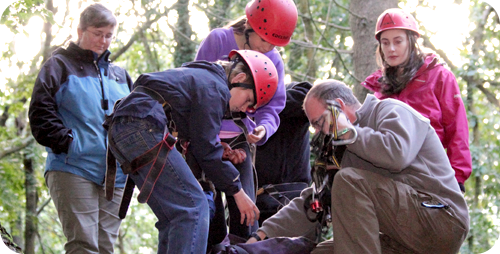 Forest Adventure Day